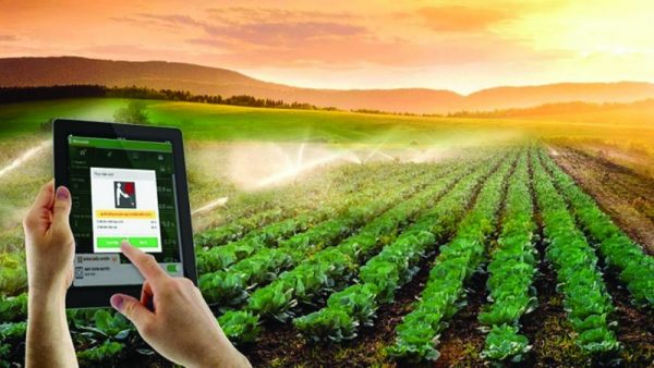 Ứng dụng IoT trong nông nghiệp tại Việt Nam