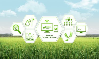 Tại sao nên ứng dụng IoT trong nông nghiệp?