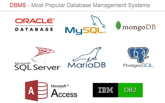 một vài phần mềm DBMS phổ biến