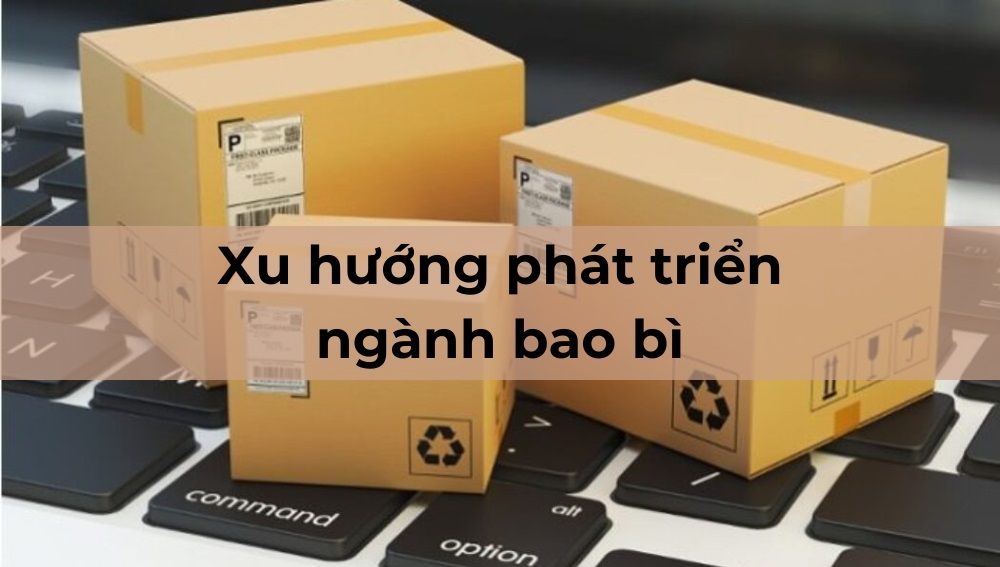 Top 4 xu hướng phát triển ngành bao bì Việt Nam hiện nay